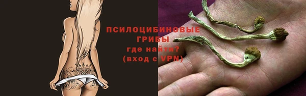 твердый Армянск