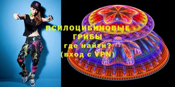 ешки Арсеньев