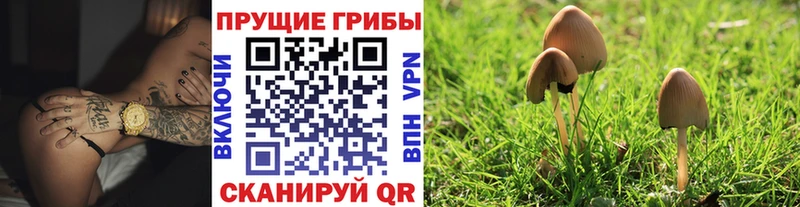 Псилоцибиновые грибы мухоморы  Старая Русса 